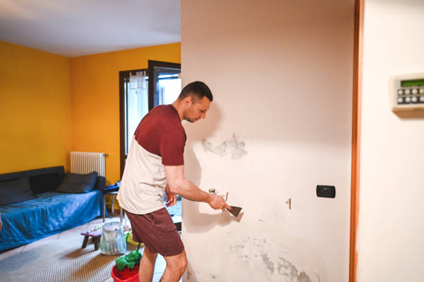 Office Mold Removal Services in Terrebonne, OR
