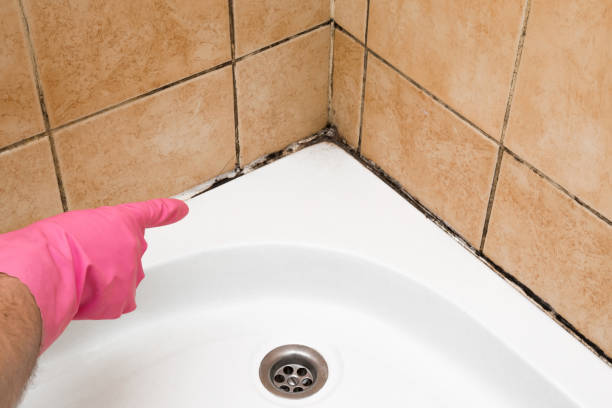 Best Mold Testing  in Terrebonne, OR